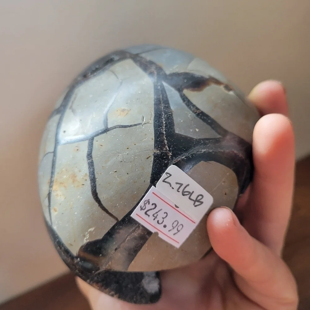 2.75 lb Septarian Partial Egg Black Crystal UV Light Reactive Statement Piece
